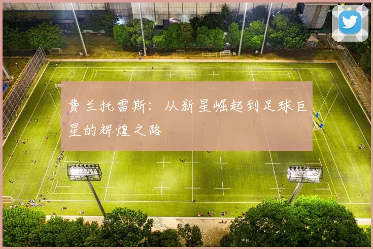 费兰托雷斯：从新星崛起到足球巨星的辉煌之路