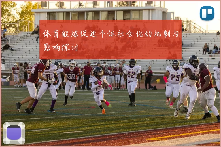 体育锻炼促进个体社会化的机制与影响探讨