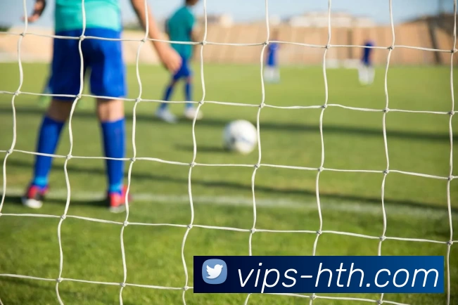 华体会平台生态图